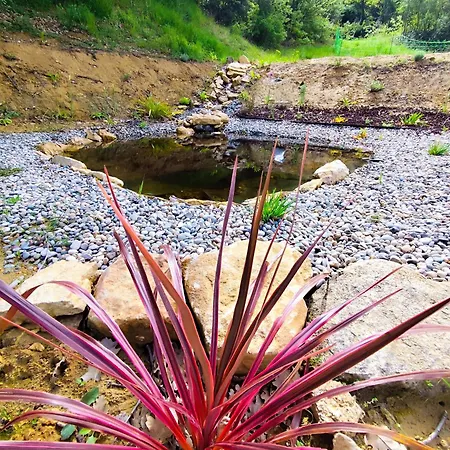 Piscine Interieure Et Foret